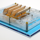 Miniature model of an evaporation engine. The engine sits on the surface of water (blue), and when water on the surface below the device evaporates, it creates a piston-like back and forth motion. When connected to a generator, that motion produces electricity. (Image: Xi Chen)